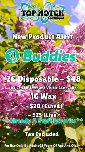 Your paragraph text_20260225_092124_0000